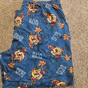 Warner Bros. Men's Blue Pajama Pants